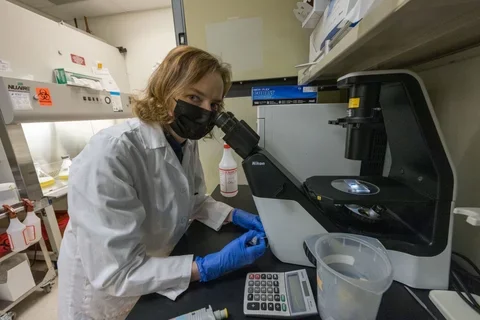 Graduate Trainee in Lab