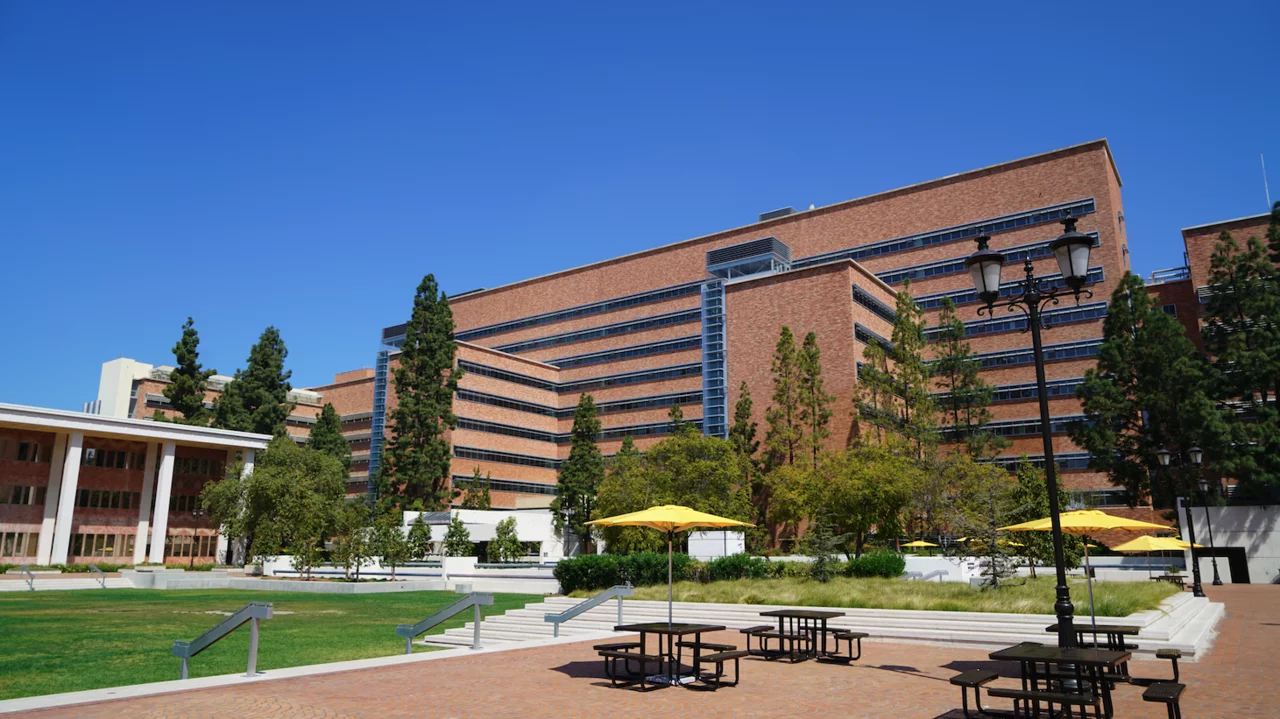 CHS
