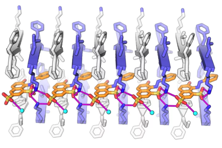 Structural Biology