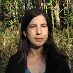 Iris Dror